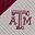 Tam Team