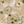 Ivory Green