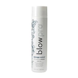 blowpro damage control Daily Repairing Shampoo