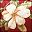 Roma Floral