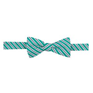 Boys Chaps Striped Bow Tie