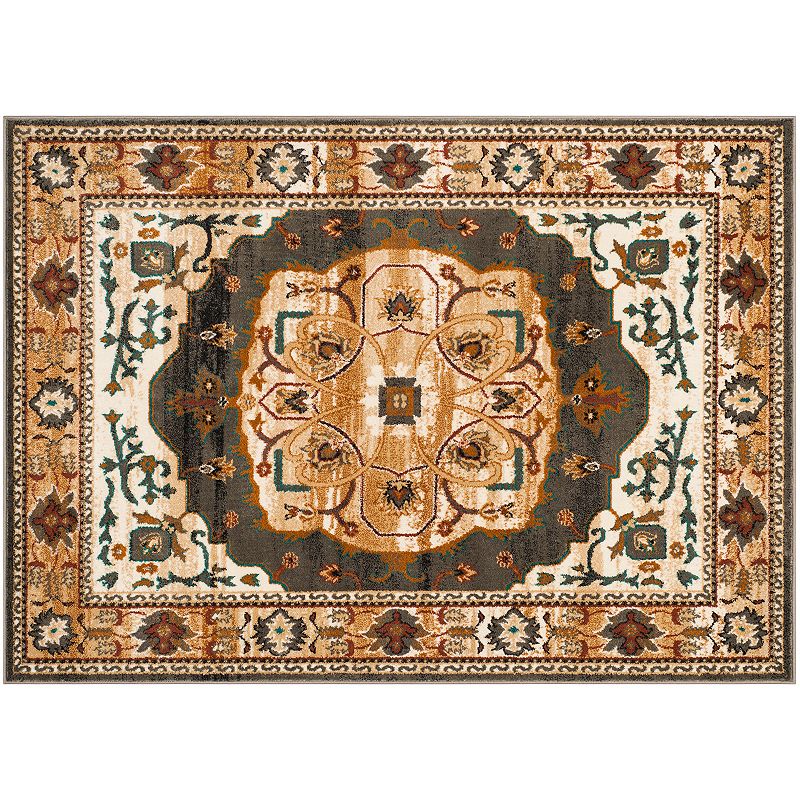 Safavieh Summit Evans Floral Rug, Multicolor, 5X7.5 Ft