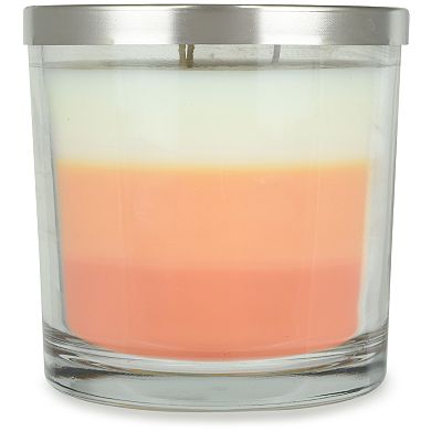 Sonoma Goods For Life White Peach & Mango 14-oz. Candle Jar