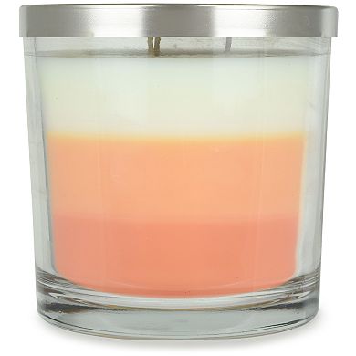 Sonoma Goods For Life™ White Peach & Mango 14-oz. Candle Jar