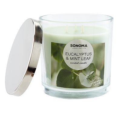Sonoma Goods For Life™ Eucalyptus & Mint Leaf 14-oz. Candle Jar
