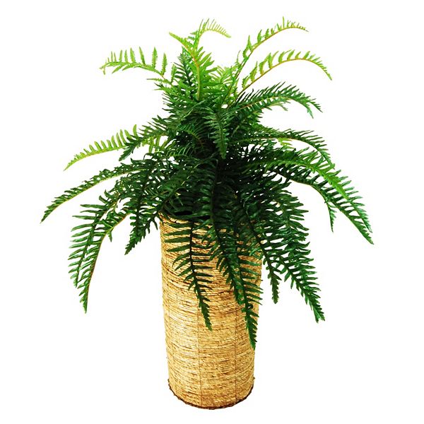 Designs by Lauren Artificial River Fern Plant