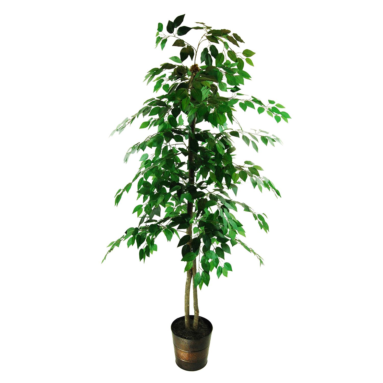 artificial ficus tree