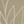 Beige Khaki