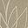 Beige Khaki