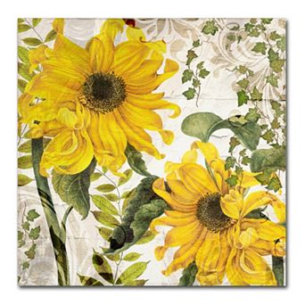 Trademark Fine Art Carina I Canvas Wall Art