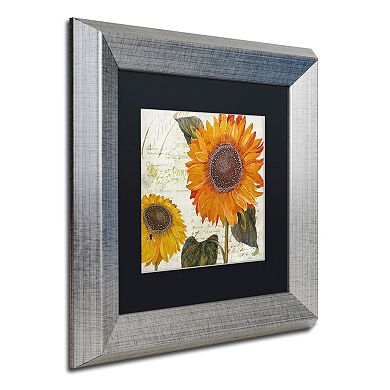 Trademark Fine Art Sundresses II Silver Finish Framed Wall Art