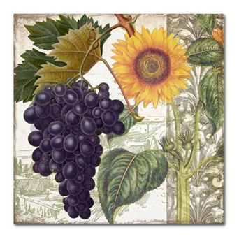 Trademark Fine Art Dolcetto I Canvas Wall Art