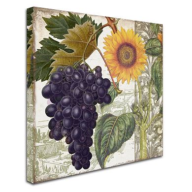 Trademark Fine Art Dolcetto I Canvas Wall Art