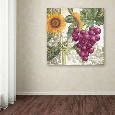 Trademark Fine Art Dolcetto II Canvas Wall Art