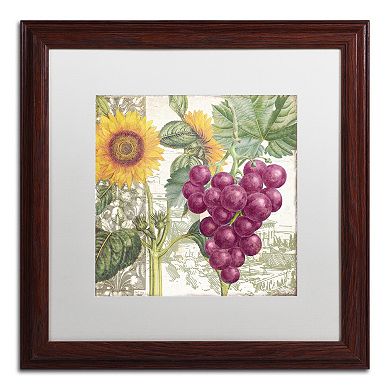 Trademark Fine Art Dolcetto II Framed Wall Art