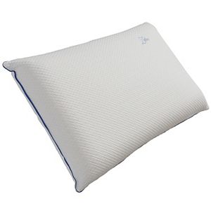 Protect-A-Bed Hybrid Memory Foam Comfort Spring Medium Pillow