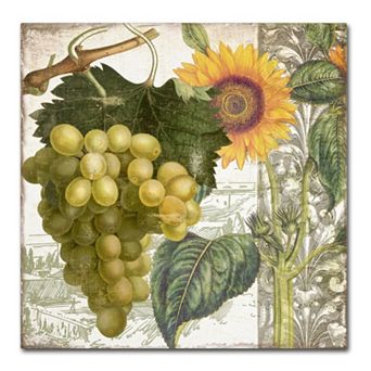 Trademark Fine Art Dolcetto III Canvas Wall Art