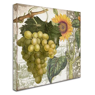 Trademark Fine Art Dolcetto III Canvas Wall Art