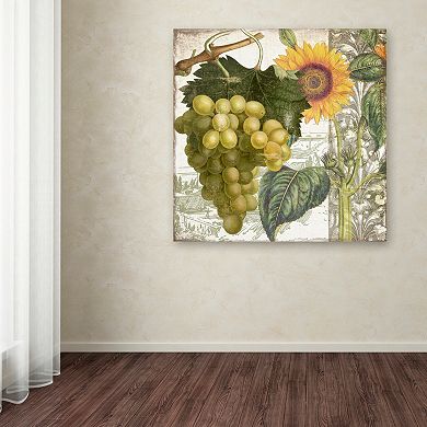 Trademark Fine Art Dolcetto III Canvas Wall Art