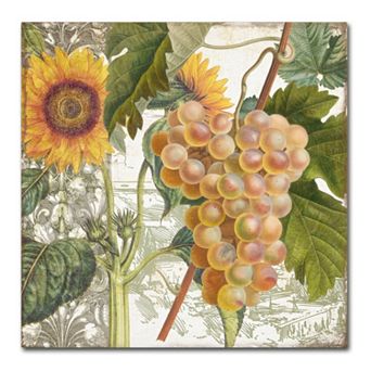Trademark Fine Art Dolcetto IV Canvas Wall Art