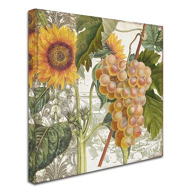Trademark Fine Art Dolcetto IV Canvas Wall Art