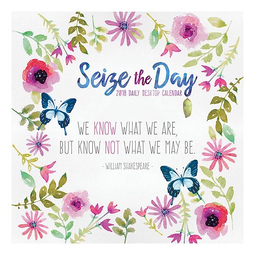 Seize The Day 2018 Daily Desk Calendar