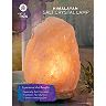 Himalayan Salt Lamp