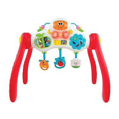 Winfun Grow With Me Melody Gym