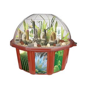 DuneCraft Dome Terrarium Desert Biodome