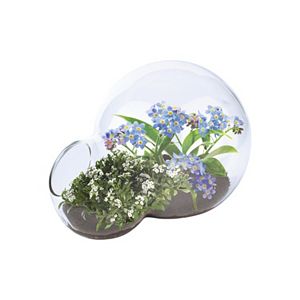 DuneCraft Double Bubble Glass Terrarium Desert Biodome