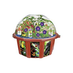 DuneCraft Dome Terrarium Rainforest Biosphere