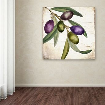 Trademark Fine Art Olive Branch I Canvas Wall Art