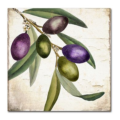 Trademark Fine Art Olive Branch I Canvas Wall Art