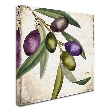 Trademark Fine Art Olive Branch I Canvas Wall Art