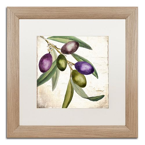 Trademark Fine Art Olive Branch I Distressed Framed Wall Art