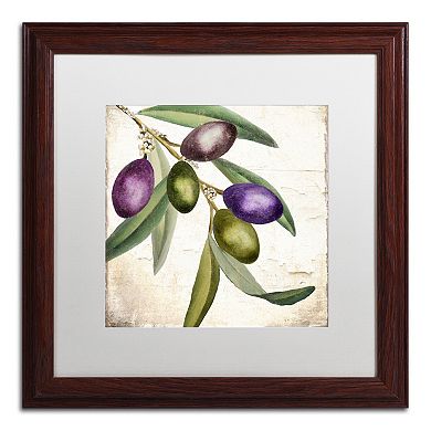 Trademark Fine Art Olive Branch I Traditional Framed Wall Art