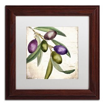 Trademark Fine Art Olive Branch I Traditional Framed Wall Art