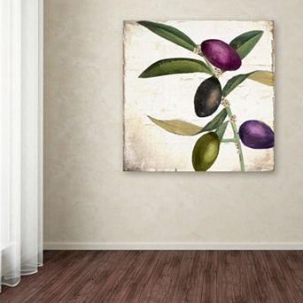 Trademark Fine Art Olive Branch II Canvas Wall Art