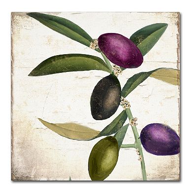 Trademark Fine Art Olive Branch II Canvas Wall Art