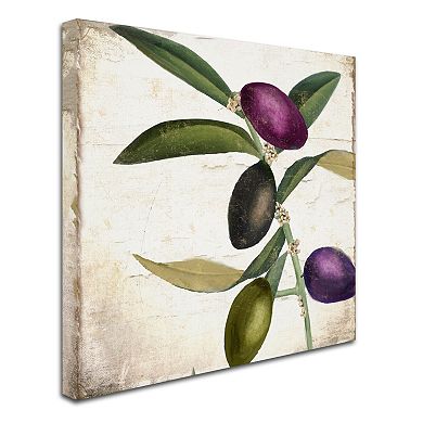 Trademark Fine Art Olive Branch II Canvas Wall Art