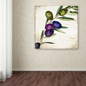Trademark Fine Art Olive Branch III Canvas Wall Art