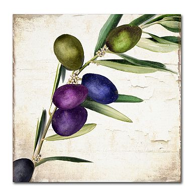 Trademark Fine Art Olive Branch III Canvas Wall Art