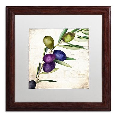 Trademark Fine Art Olive Branch III Traditional Framed Wall Art