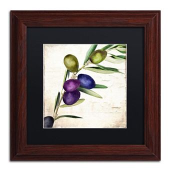Trademark Fine Art Olive Branch III Traditional Framed Wall Art