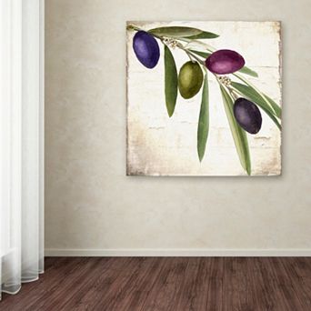 Trademark Fine Art Olive Branch IV Canvas Wall Art