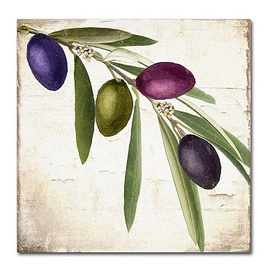 Trademark Fine Art Olive Branch IV Canvas Wall Art