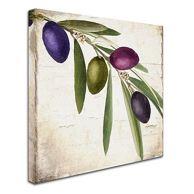 Trademark Fine Art Olive Branch IV Canvas Wall Art