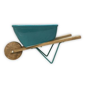 Celebrate Spring Together Indoor \/ Outdoor Decorative Wheel Barrow Planter