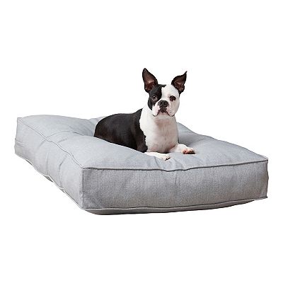 Kohls dog shops bed