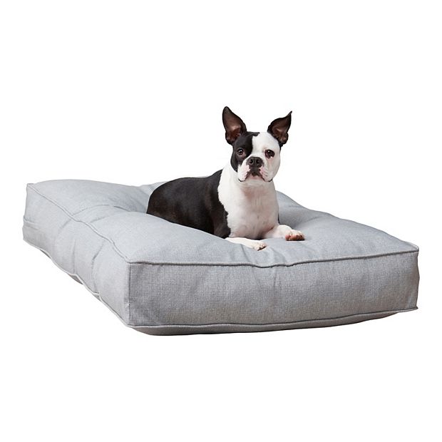 Kohls dog outlet bed